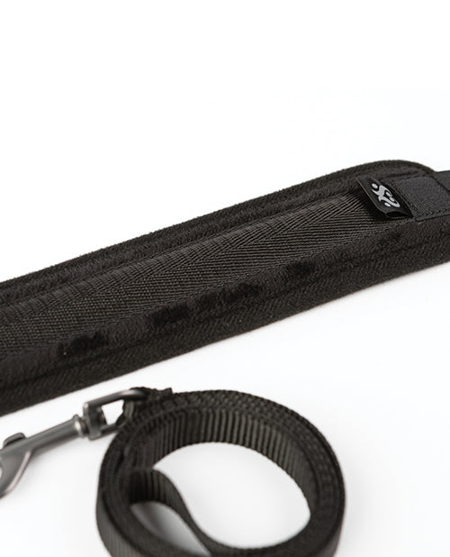 Sei Mio Take the Lead Padded Neck Collar & Leash