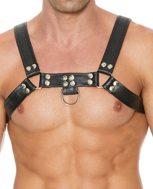 Shots Uomo Chest Bulldog Harness Small/Medium