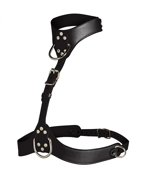 Vixen Female Chest Harness
