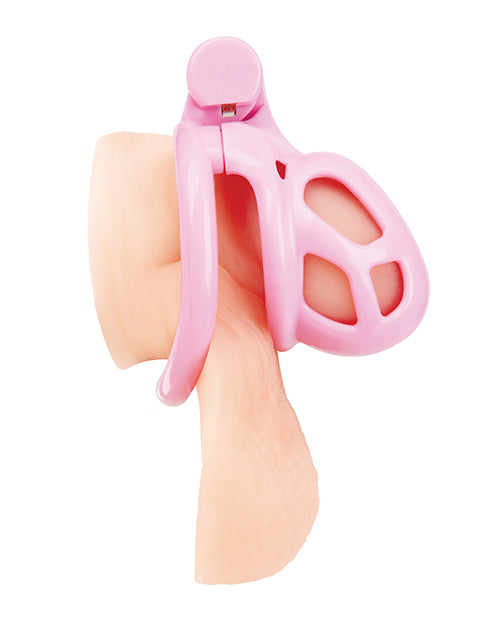 Small Pink Humiliation Acrylic Prisoner Cock Cage