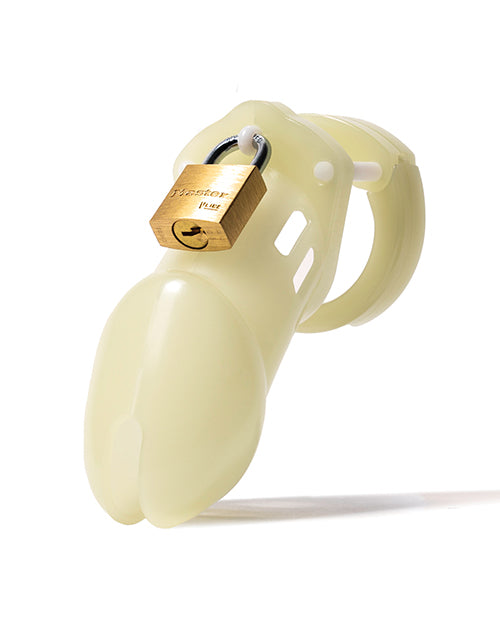 CB-6000 3 1/4" Cock Cage & Lock Set