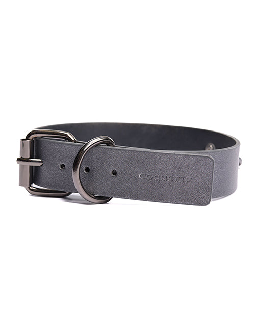Pleasure Collection Gunmetal Glam Collar & Leash w/Removable Chain