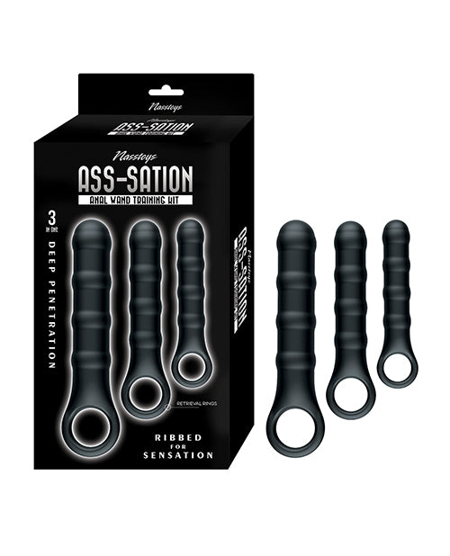 Nasstoys Ass-Sation Anal Wand Training Kit