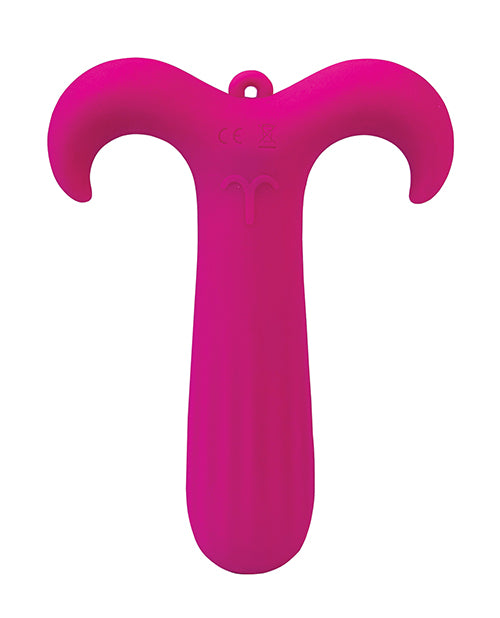 Zodiac Aries Mini Vibe