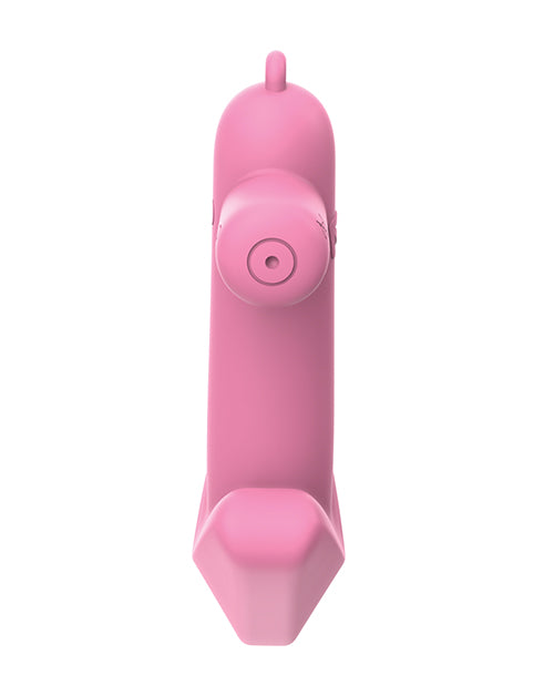 Zodiac Sagittarius Mini Vibe