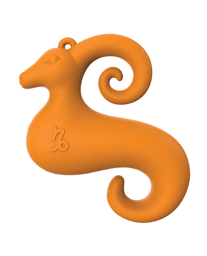 Zodiac Capricorn Mini Vibe