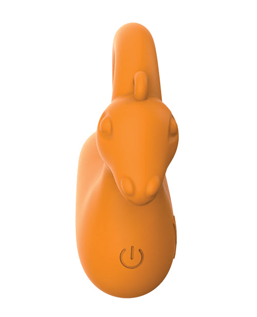 Zodiac Capricorn Mini Vibe