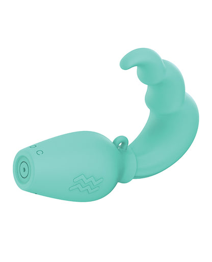 Zodiac Aquarius Mini Vibe