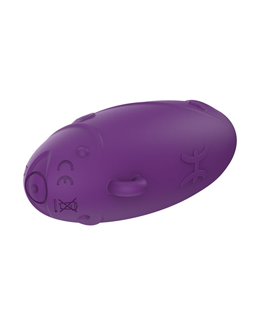 Zodiac Pisces Mini Vibe