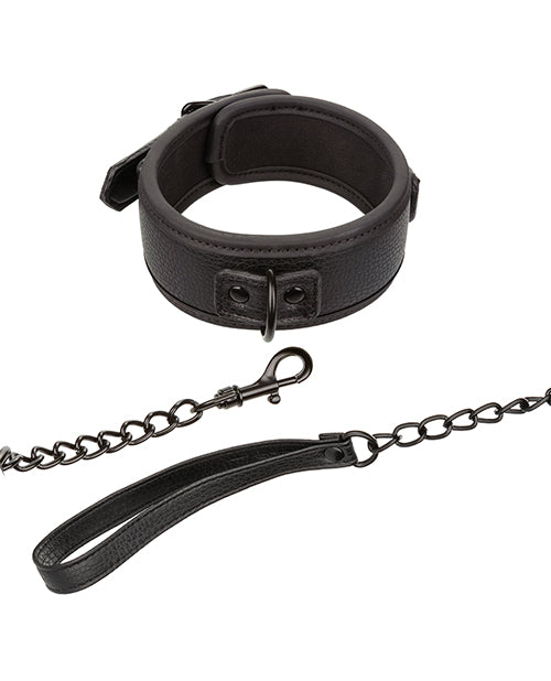 Nocturnal Collection Detachable Collar & Leash