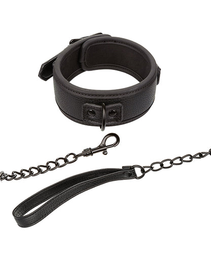 Nocturnal Collection Detachable Collar & Leash