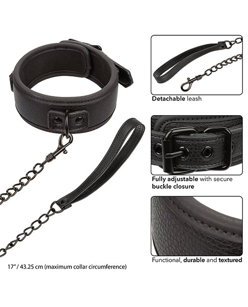 Nocturnal Collection Detachable Collar & Leash