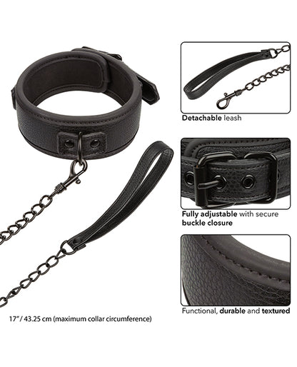 Nocturnal Collection Detachable Collar & Leash