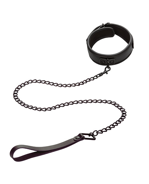 Nocturnal Collection Detachable Collar & Leash