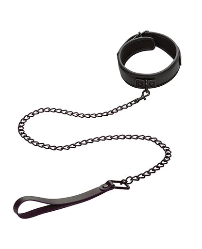 Nocturnal Collection Detachable Collar & Leash