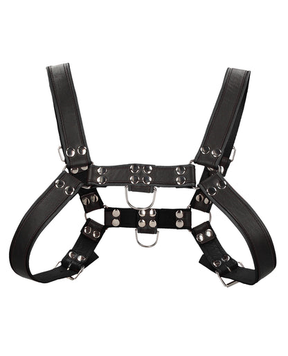 Shots Uomo Chest Bulldog Harness Large/XLarge