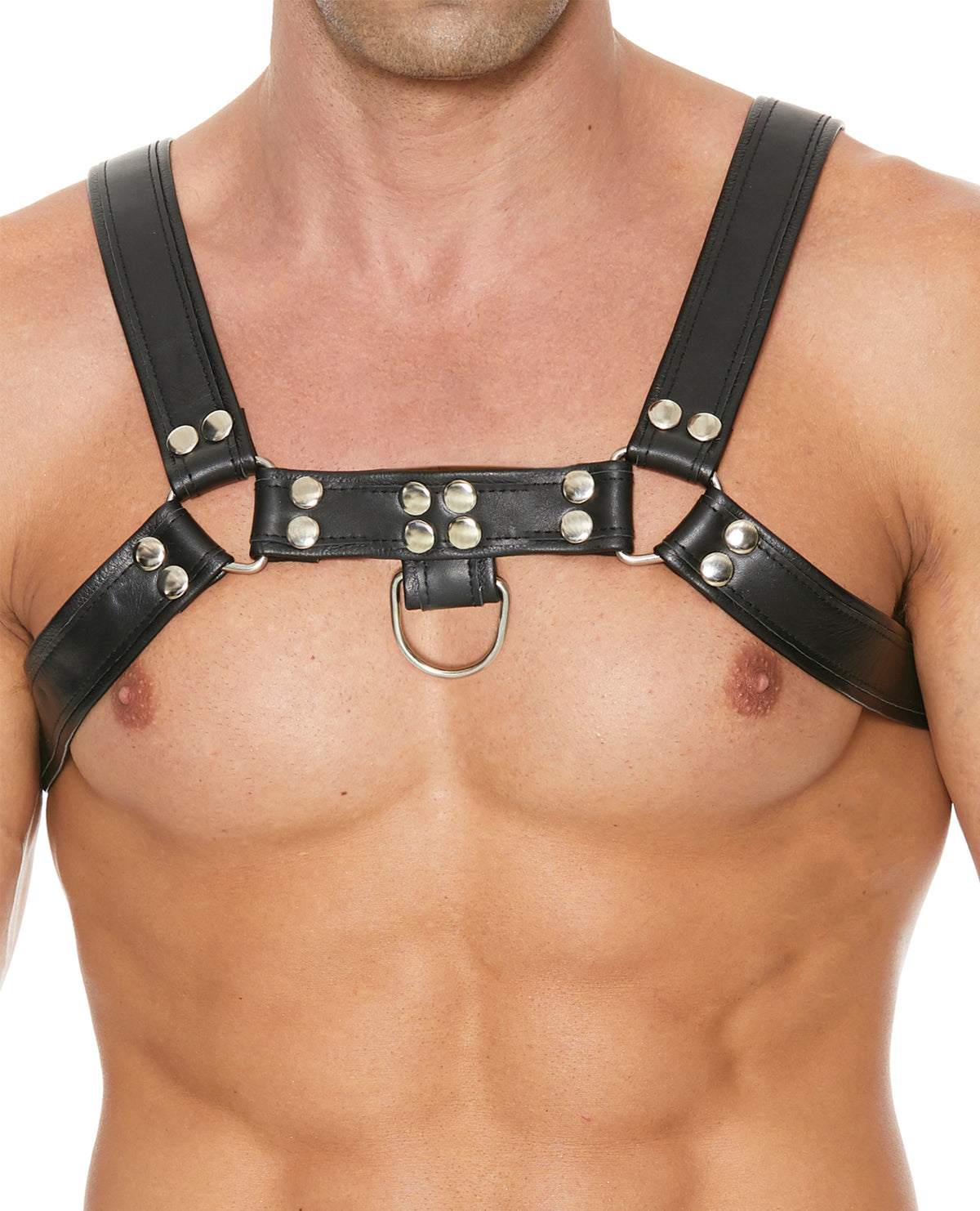 Shots Uomo Chest Bulldog Harness Large/XLarge