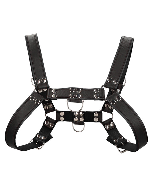 Shots Uomo Chest Bulldog Harness Small/Medium