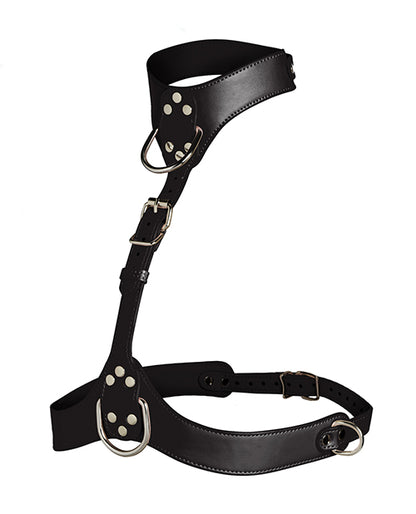 Vixen Female Chest Harness