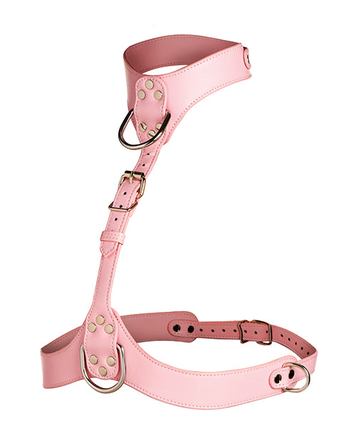 Vixen Female Chest Harness