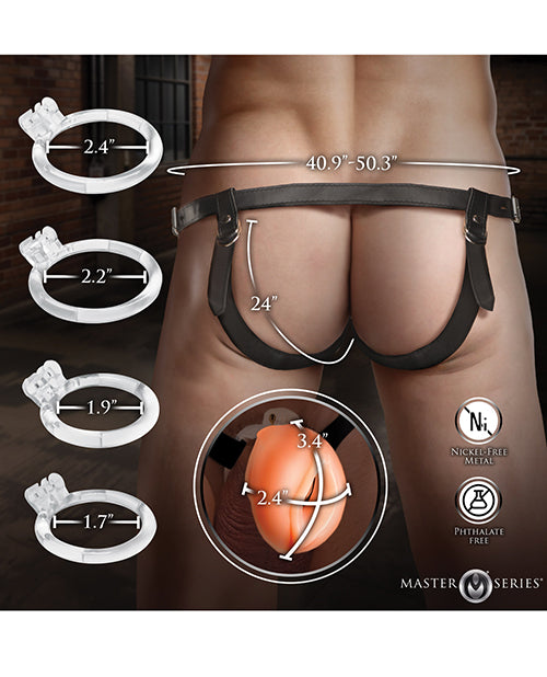 Master Series Pussy Chastity Cage