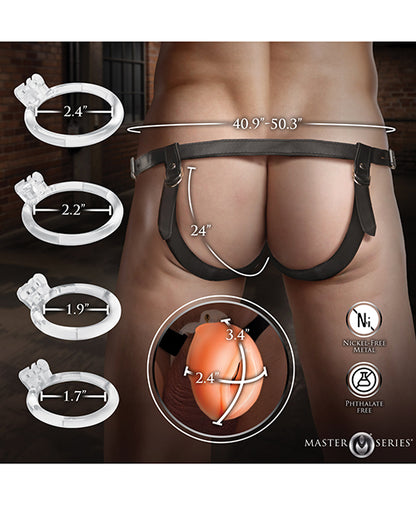 Master Series Pussy Chastity Cage