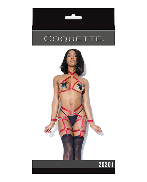 Play Darque Halter Top, Crtchlss Pnty, Gartrs & Restraints (psties & G Not Included)  Merlot O-s