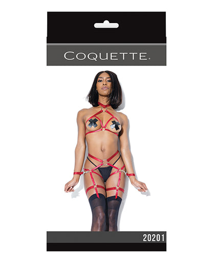 Play Darque Halter Top, Crtchlss Pnty, Gartrs & Restraints (psties & G Not Included)  Merlot O-s