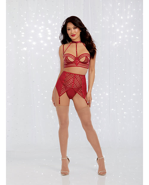 Holiday Sheer Striped Collard Long Line Bra, Garter Belt & G-string Garnet
