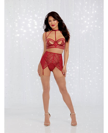 Holiday Sheer Striped Collard Long Line Bra, Garter Belt & G-string Garnet