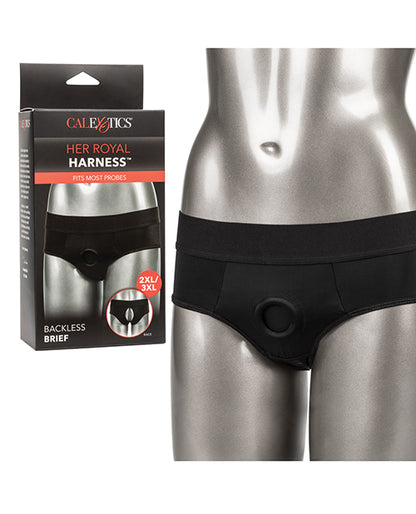 Her Royal Harness Backless Brief - Black