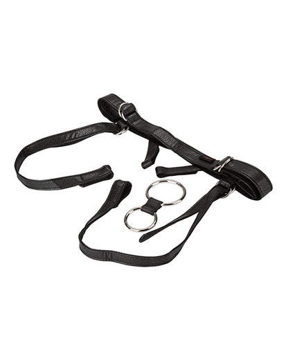 Her Royal Harness The Duchess - Black
