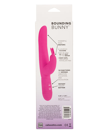 Posh 10 Function Bounding Bunny
