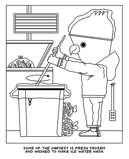 Wood Rocket A Visit To The Cannabis Farm Coloring Book