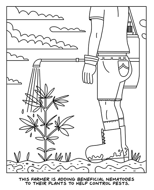 Wood Rocket A Visit To The Cannabis Farm Coloring Book