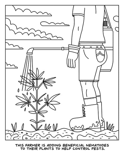 Wood Rocket A Visit To The Cannabis Farm Coloring Book